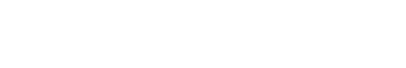 Visonnaire